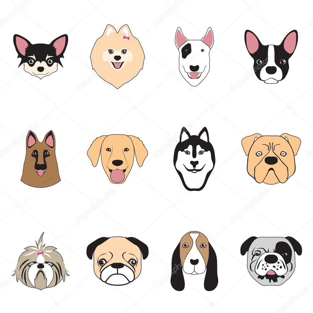dogs collection,vector