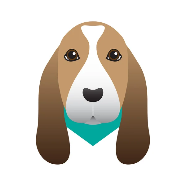 Vetor Beagle —  Vetores de Stock