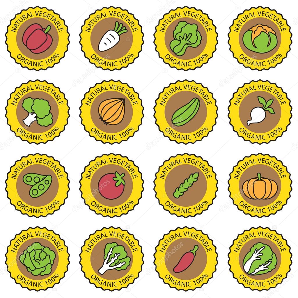 Vegetable garden banner vector Stock Vector Image by ©bitontawan02