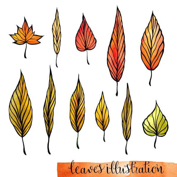 Pattern with autumn leaves. — Stock Vector