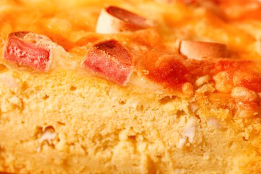 Köpek doğum günü pastası