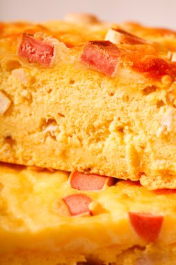 Köpek doğum günü pastası