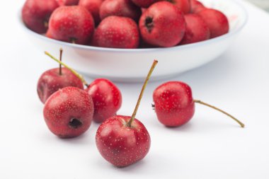 Beyaz arkaplanda Hawthorn