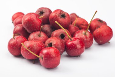 Beyaz arkaplanda Hawthorn