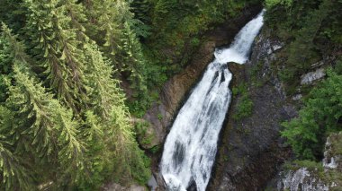 Romanya 'daki ulusal parkta şelale. En iyi şelale. Şelale Valul Miresei