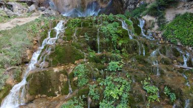 Ulusal parkta şelale. Yosun dolu bir şelale. Şelale Pisoaia.