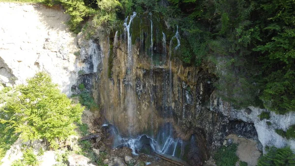 Ulusal parkta şelale. Yosun dolu bir şelale. Şelale Pisoaia