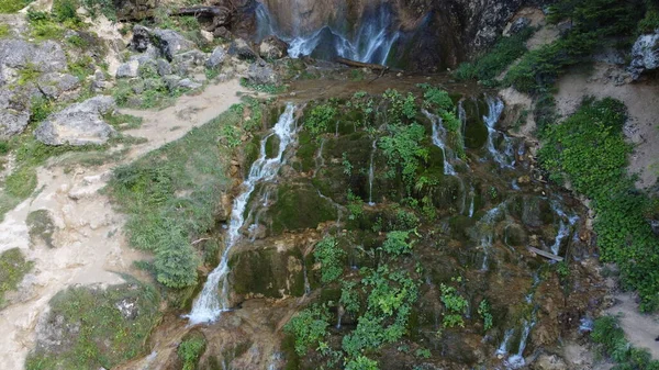 Waterval Het Nationale Park Waterval Vol Met Mos Waterval Pisoaia — Stockfoto