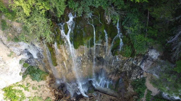 Ulusal parkta şelale. Yosun dolu bir şelale. Şelale Pisoaia.