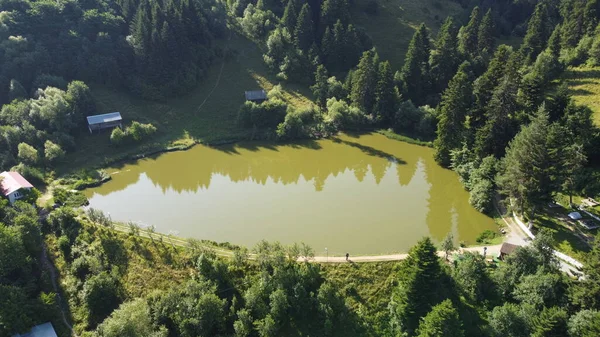 Panorama Avec Lac Collines Forêt Taul Brazi — Photo