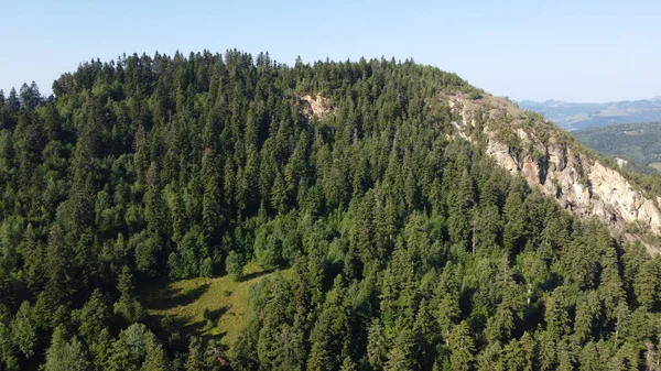 Tepeleri ve ormanı olan bir panorama.