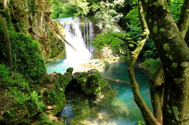 Vaioaga waterfall, Romania clipart