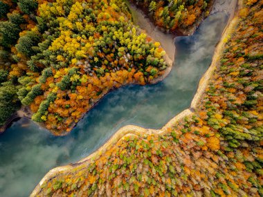 Romanya 'nın Caras Severin ilindeki Buhui Gölü' nün hava aracı fotoğrafı, 25 Ekim 2025 'te dolambaçlı kıyı şeridi ve renkli sonbahar ormanlarını gösteriyor..