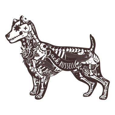 Jack Russell Teriyeri