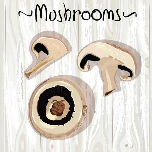 Mushrooms — Stock Vector