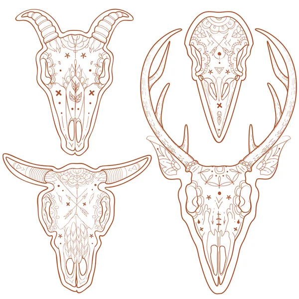 Animal skulls — Stock Vector