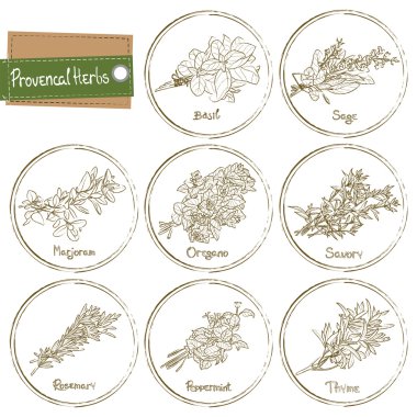 Provence otlar
