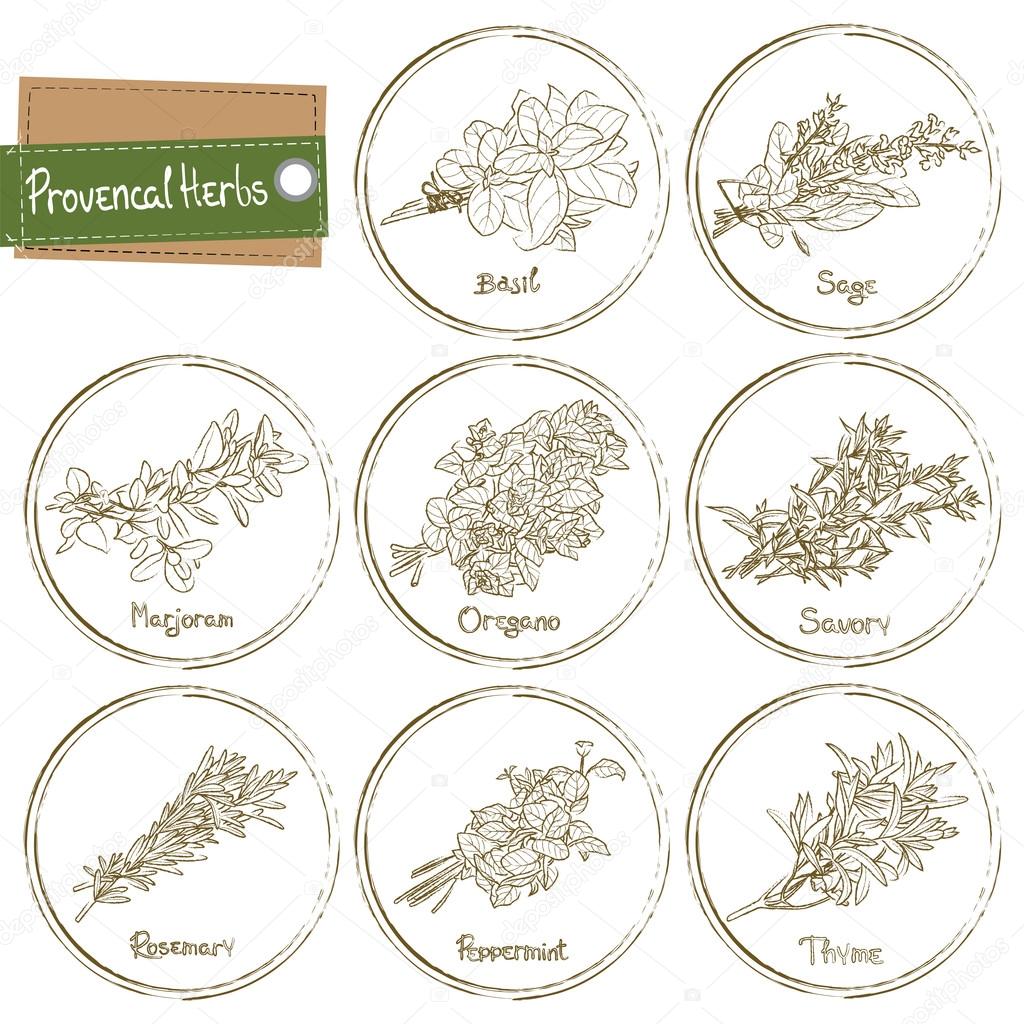 Provencal Herbs