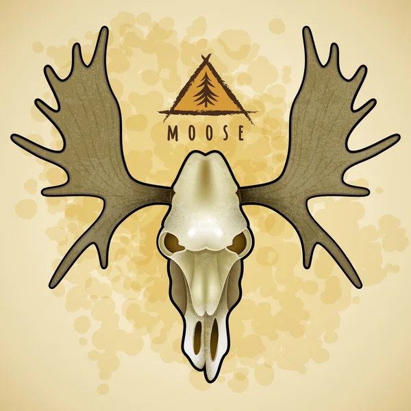 Vector Moose schedel — Stockvector