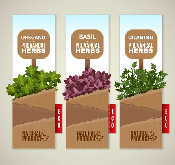 Bandeiras Herbs de Provence —  Vetores de Stock