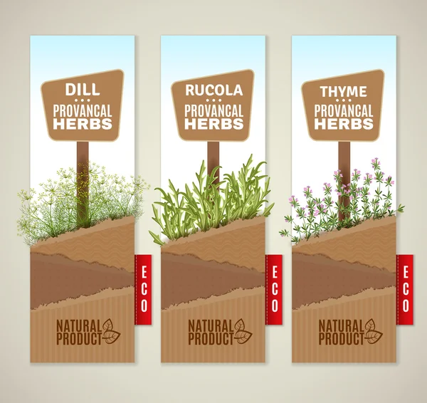 Herbs de Provence banners — Stock Vector