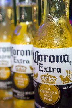 Dört sıra soğuk Corona Extra bira, yakın çekim. Meksikalı bira fabrikası Cervecera Modelo 'nun ürettiği ve Belçikalı AB InBev şirketinin sahibi olduğu soluk bir bira..