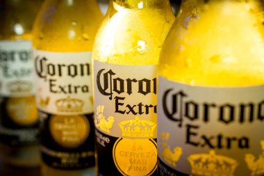 Dört sıra soğuk Corona Extra bira, yakın çekim. Meksikalı bira fabrikası Cervecera Modelo 'nun ürettiği ve Belçikalı AB InBev şirketinin sahibi olduğu soluk bir bira..