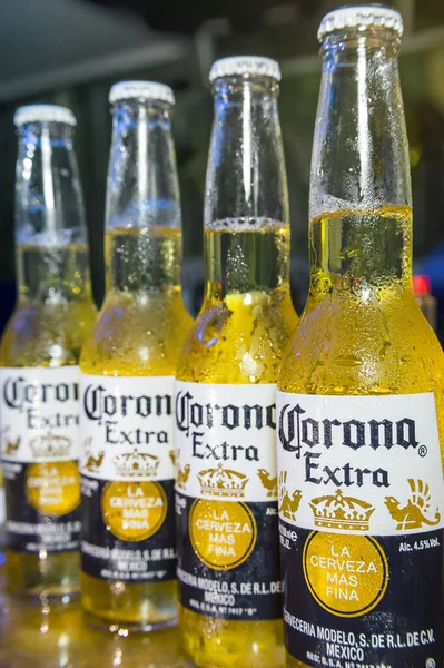 Dört sıra soğuk Corona Extra bira, yakın çekim. Meksikalı bira fabrikası Cervecera Modelo 'nun ürettiği ve Belçikalı AB InBev şirketinin sahibi olduğu soluk bir bira..