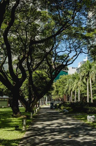 Makati Metro Manila Filipiny Ayala Triangle Gardens Park Samym Sercu — Zdjęcie stockowe