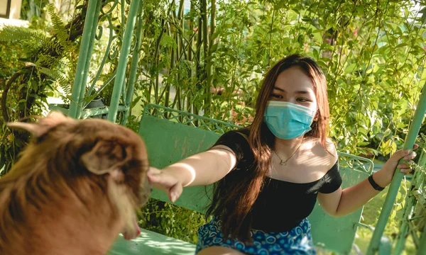 顔のマスクをした若いアジア系の女性がグライダースイングに座って手を伸ばし 向こうに優しい犬を飼います 新常態概念 — ストック写真