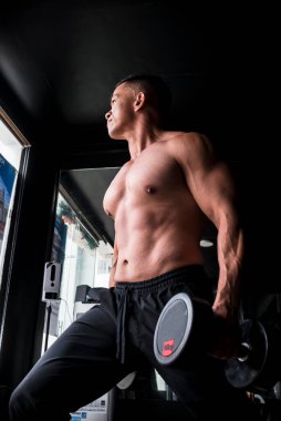 Güçlü atletik tişörtsüz Asyalı bir adam dambıl sallıyor. Spor salonunda ya da spor salonunda yoğun bacak egzersizi..