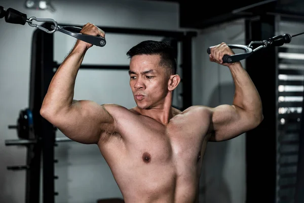 Ein Durchtrainierter Und Athletisch Aussehender Asiatischer Mann Sieht Aus Und — Stockfoto