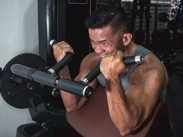 Homem Asiático Buff Faz Alguns Cachos Pregador Máquina Ginásio Treino — Fotografia de Stock