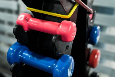 Dambıl depolarındaki renkli, kauçuk halterlerin yakın çekimi. Spor salonunda ya da spor salonunda..