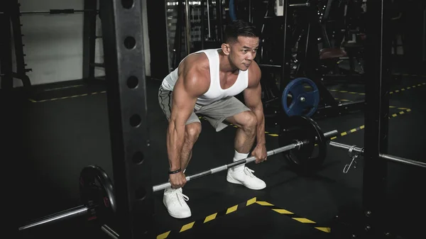 A handsome, tanned and athletic asian man grips the barbell in preparation for some high rep deadlifts. High intensity training at the gym.