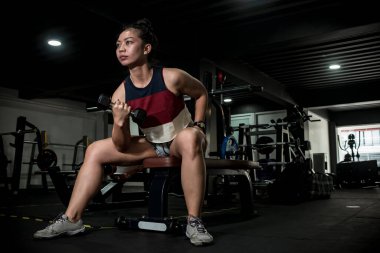 Formda Asyalı bir sporcu, bir bankta oturmuş dambıl konsantrasyonu yapıyor. Spor salonunda bisepsleri çalıştırıyorum..