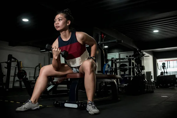 一个健康的亚洲女运动员在长椅上做一些坐着的哑铃式的集中运动 在体育馆练二头肌 — 图库照片
