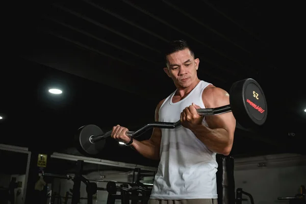 A well built and fit asian man in a white tank top does some barbell curls at the gym. An active 40 year old with healthy lifestyle.