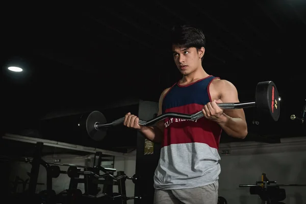 A young asian man of intermediate muscle development doing some EZ barbell curls at the gym.