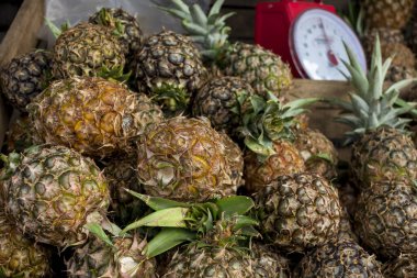 A bunch of locally grown pineapples and a nearby weighing scale at a local street stand in Tagaytay, Cavite, Philippines.