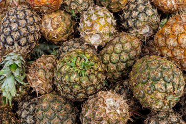 Top view of locally harvested miniature pineapples for sale at a sidewalk stand in Tagaytay, Cavite, Philippines.