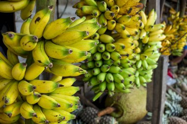 An entire stalk of Senorita bananas for sale together with other products at a roadside shack in Tagaytay, Cavite, Philippines.