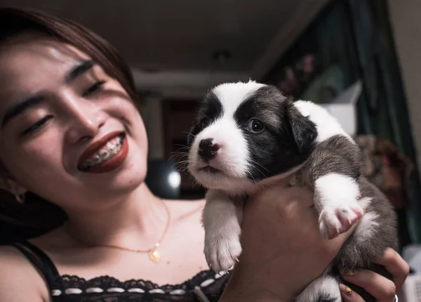 アジアの女性は部屋で彼女の健康的な3週間の古い子犬を揺り動かす ペットとの結合セッション — ストック写真