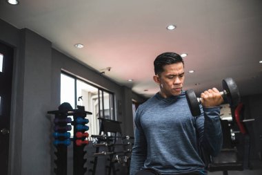 Sweatshirt 'lü yakışıklı bir Asyalı arka arkaya halterli bukleler yapıyor. Bisepsleri çalıştırmak ve eğitmek. Spor salonu ayarlarını aç.