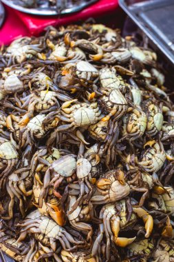 Filipinler 'deki bir markette satılık küçük mavi yengeç sürüsü. Kiloyla satıldı. Yeraltı açığa çıktı.