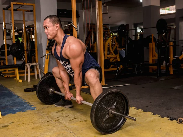 A large and muscular asian man does sumo barbell deadlifts at a hardcore gym. Working out quadriceps, glutes, hamstrings, and other muscles of the posterior chain.