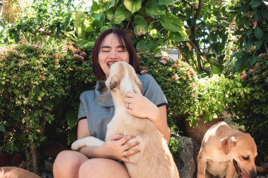 4 aylık bir köpek yavrusu, evlerinin bahçesinde sahibinin yüzünü yalayarak sevgisini gösteriyor..