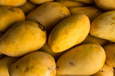 Olgun yerli Carabao Mango, Filipin mangosu olarak da bilinir, sergilenmekte ve yerel bir pazarda satılmaktadır..