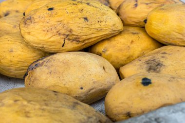 Filipin mangosu olarak da bilinen olgun yerli Carabao Mango 'nun eski stokları indirimli fiyata yerel bir markette satıldı..