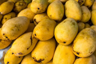 Olgun yerli Carabao Mango, Filipin mangosu olarak da bilinir, sergilenmekte ve yerel bir pazarda satılmaktadır..